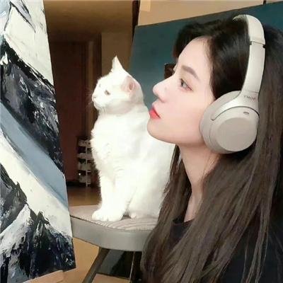 大明嫔妃之反攻